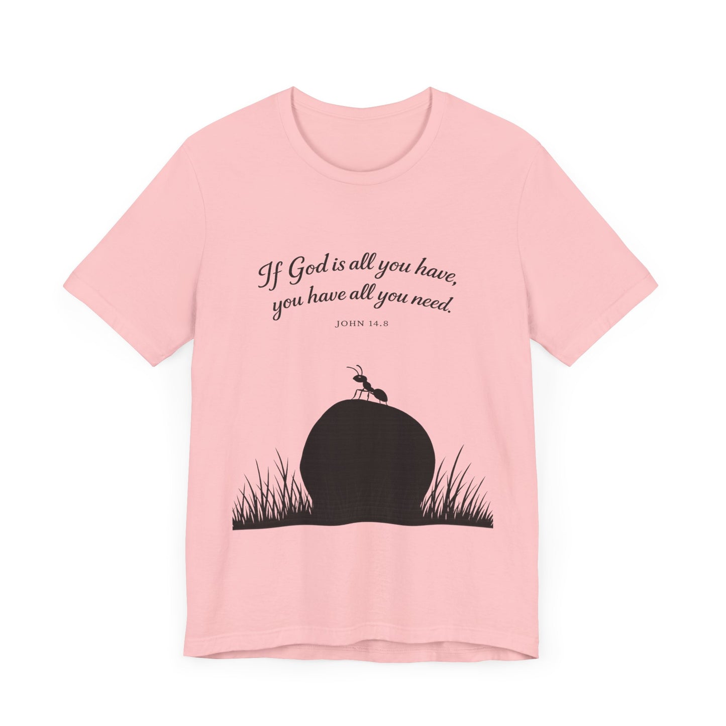 Christian Scripture Ant Tee